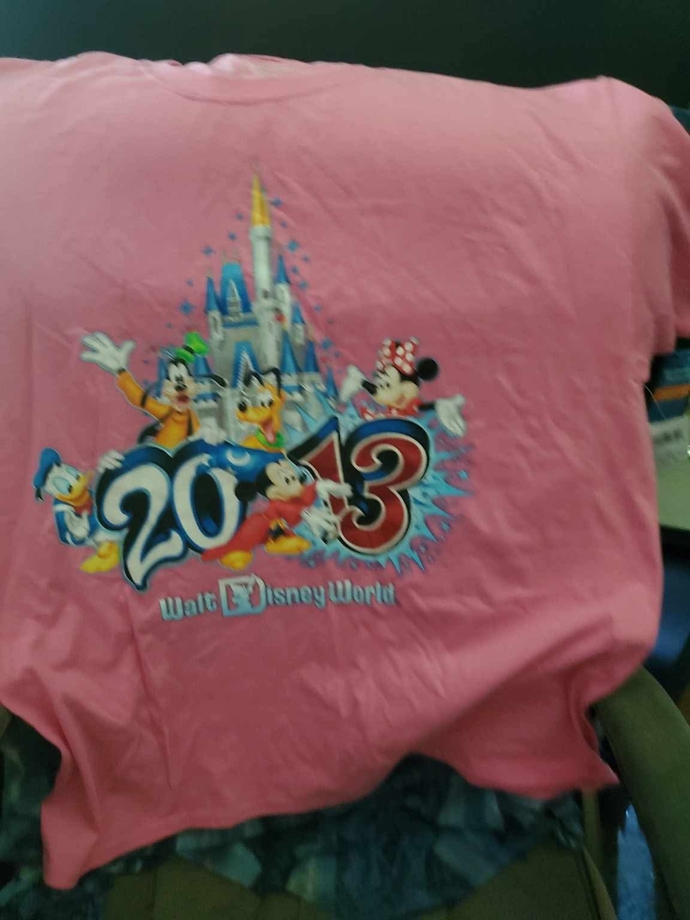 Disney Pink 2013 Walt Disney World Character Graphic Tee